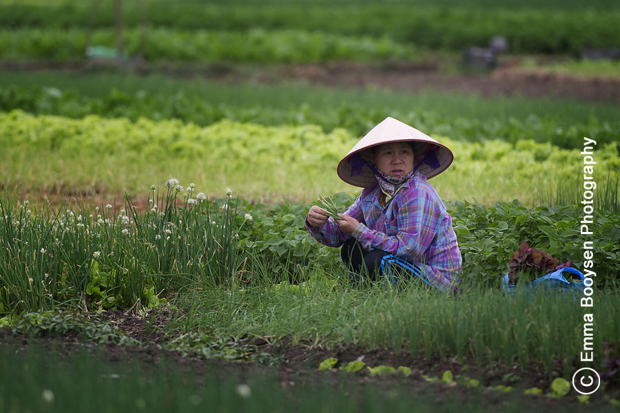 Rice field worker Emma Booysen