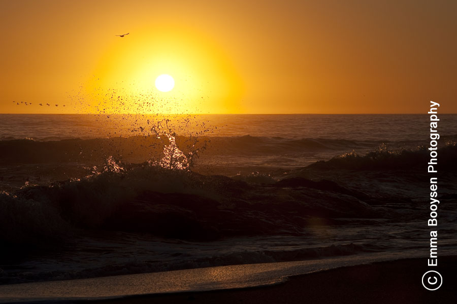 Emma Booysen Photography