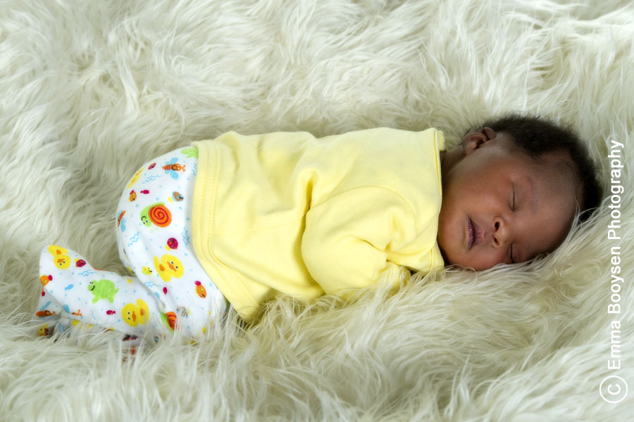 New Born - Photo a day Emma Booysen